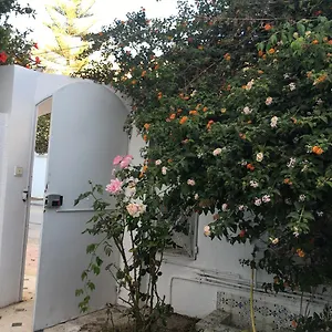https://studio-marsa.tunis-best-hotels.com
