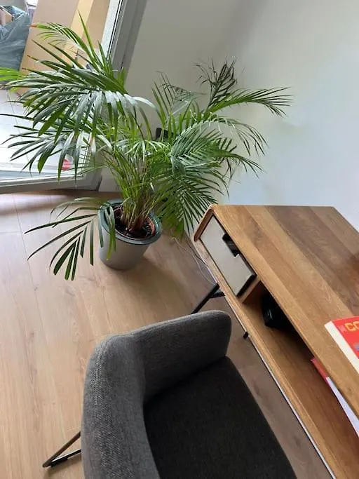 Le Petit Bruxelles Au Calme Apartment Toulouse