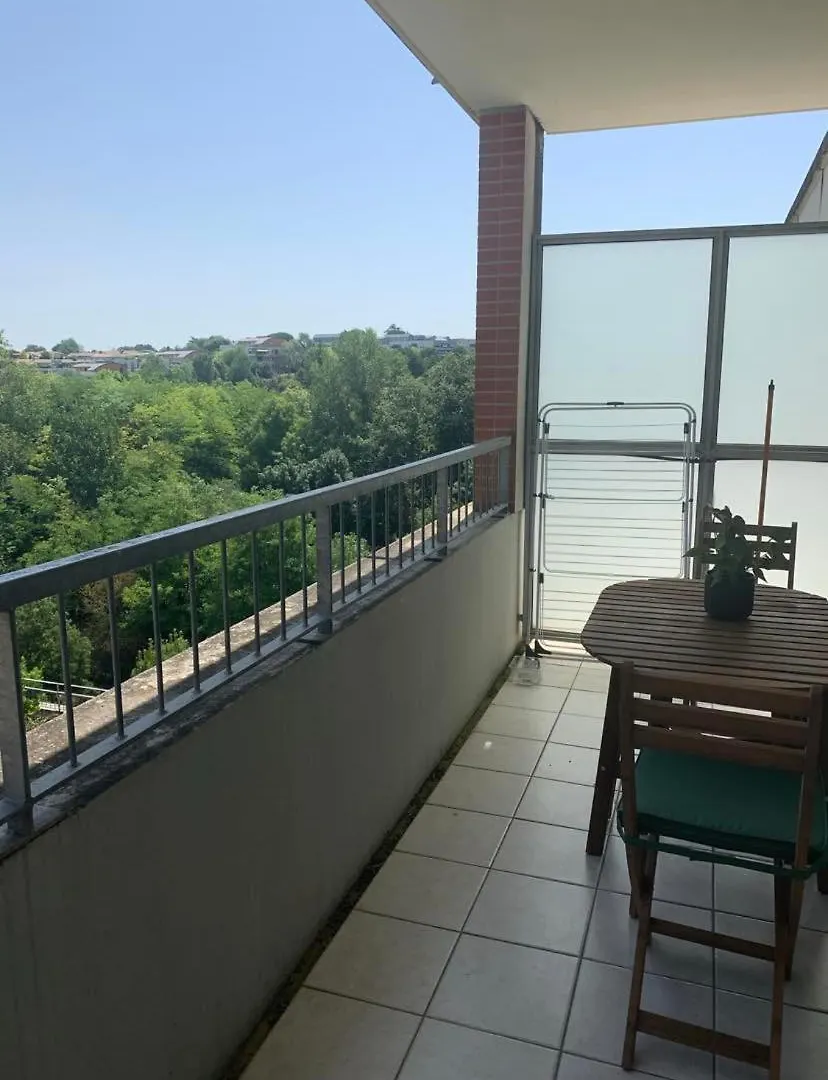 Le Petit Bruxelles Au Calme Apartment Toulouse 0*,